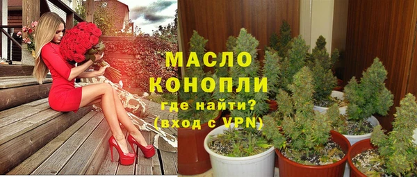 дмт Елабуга
