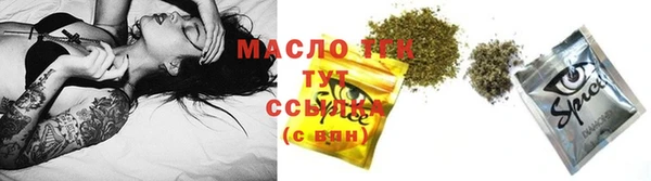 дмт Елабуга