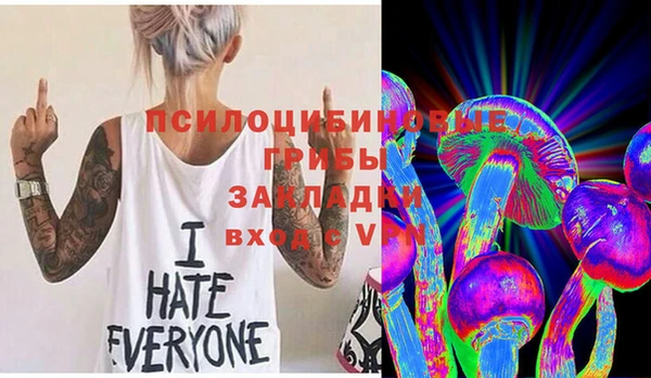 ешки Елизово