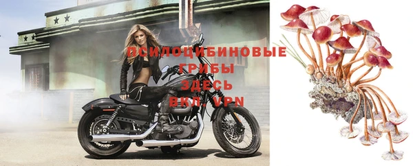 ешки Елизово