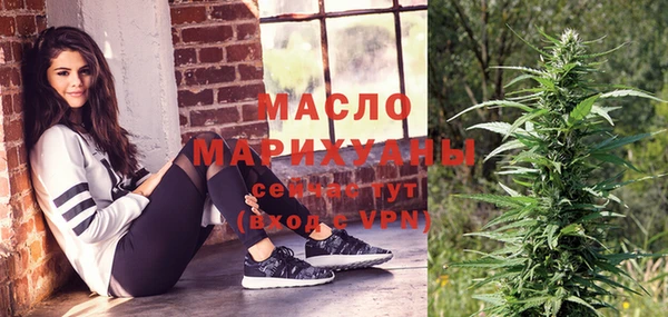 дмт Елабуга
