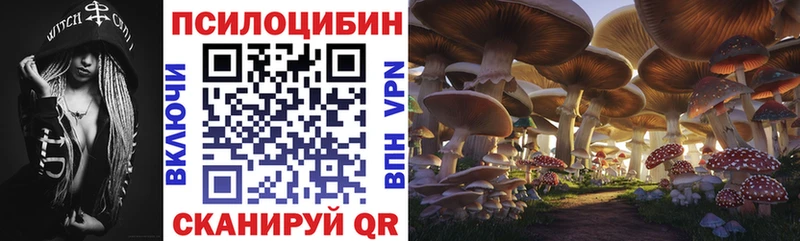Купить закладки  Королёв  Галлюциногенные грибы Cubensis 